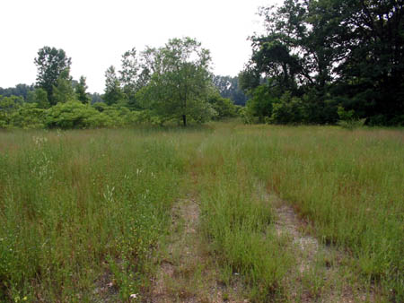 Lakeshore Drive-In Theatre - Driveway - Photo From Water Winter Wonderland (newer photo)